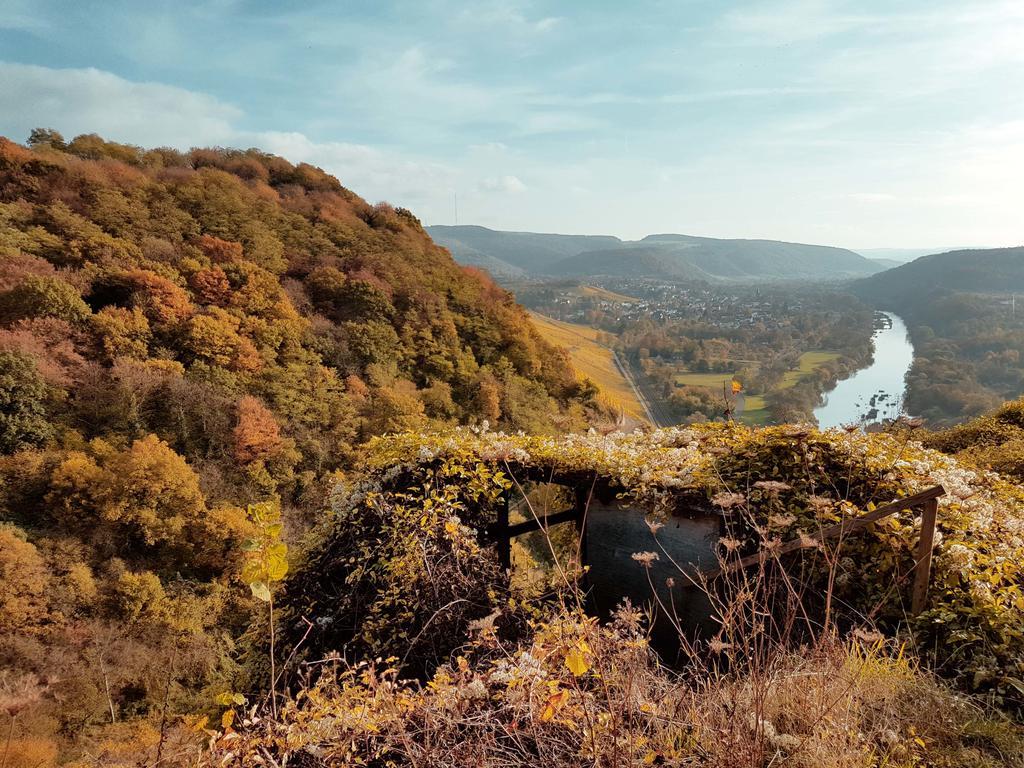 Apartmán Haus Sonnenschein Wiltingen Exteriér fotografie