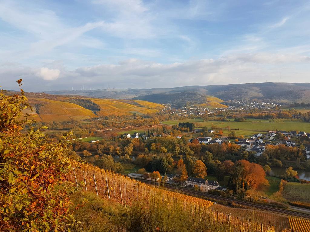 Apartmán Haus Sonnenschein Wiltingen Exteriér fotografie